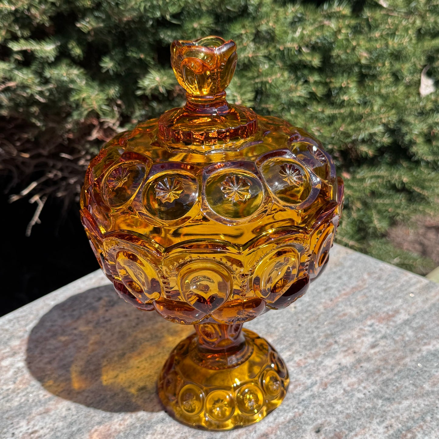 Vintage L. E. Smith Soft Topaz Moon and Stars Pedestal Covered Candy Dish