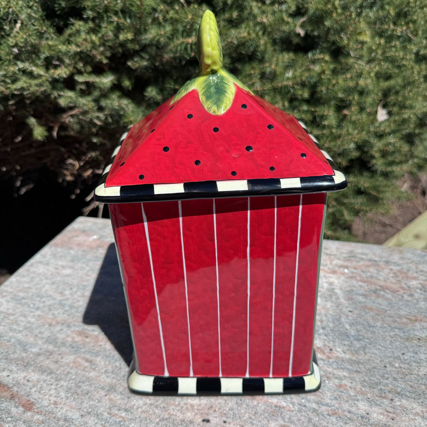 Vintage Certified International Susan Wingart Watermelon Seed Packet Canister