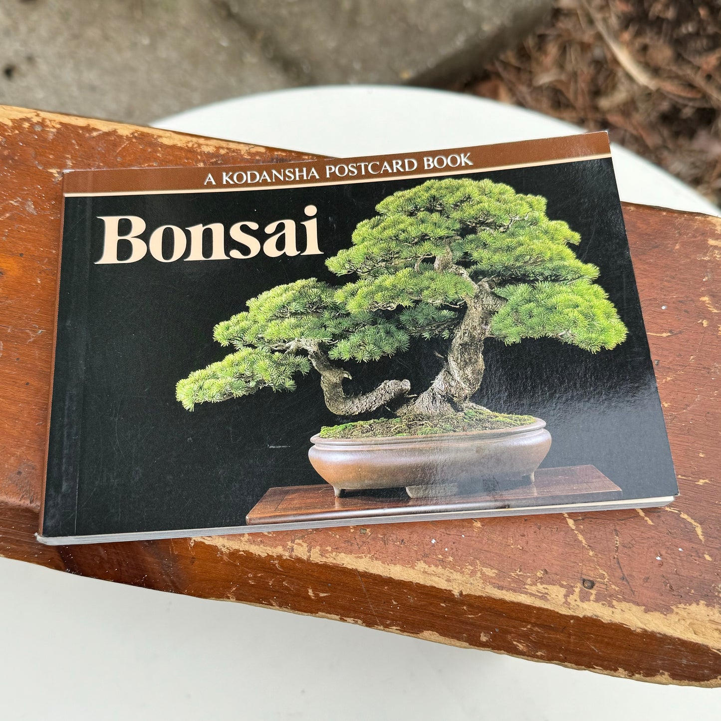 Japanese Oval Blue & White Bonsai Planter, Bonsai Postcard Book & Chinese Terracotta Clay Warrior