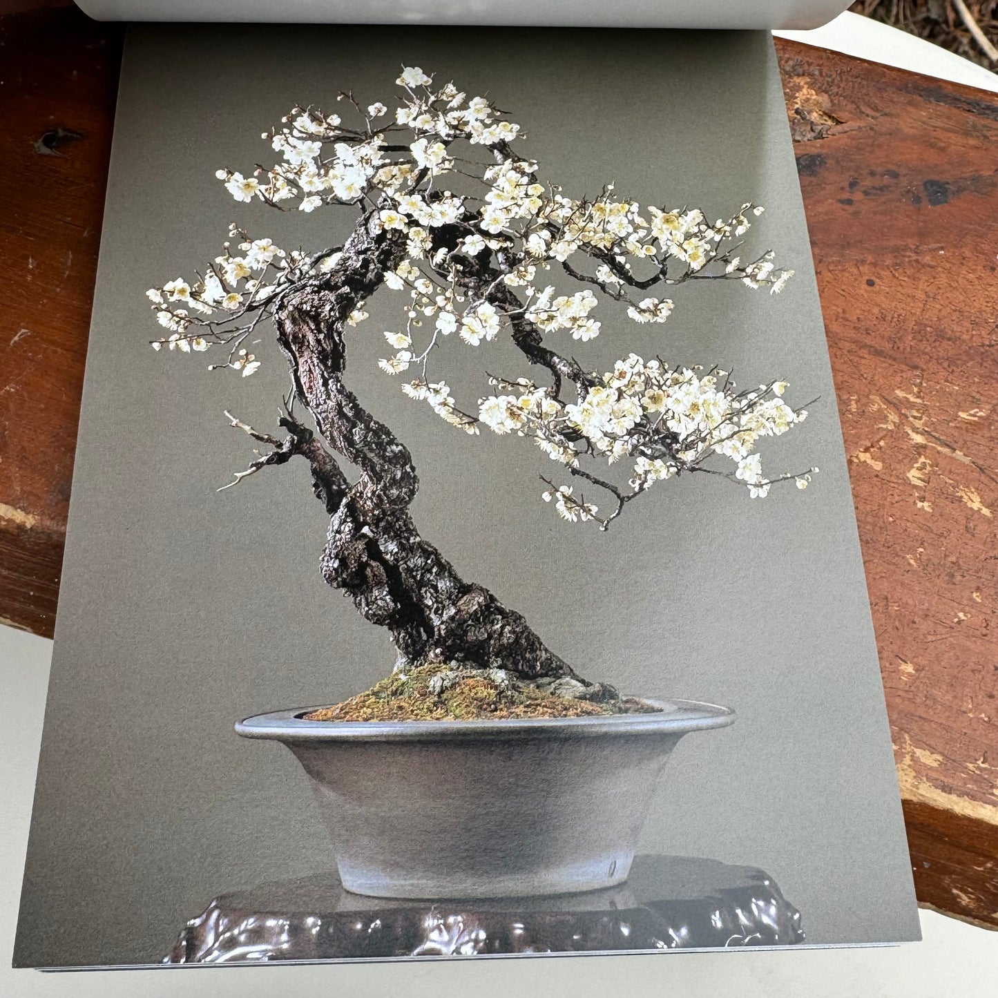 Japanese Oval Blue & White Bonsai Planter, Bonsai Postcard Book & Chinese Terracotta Clay Warrior