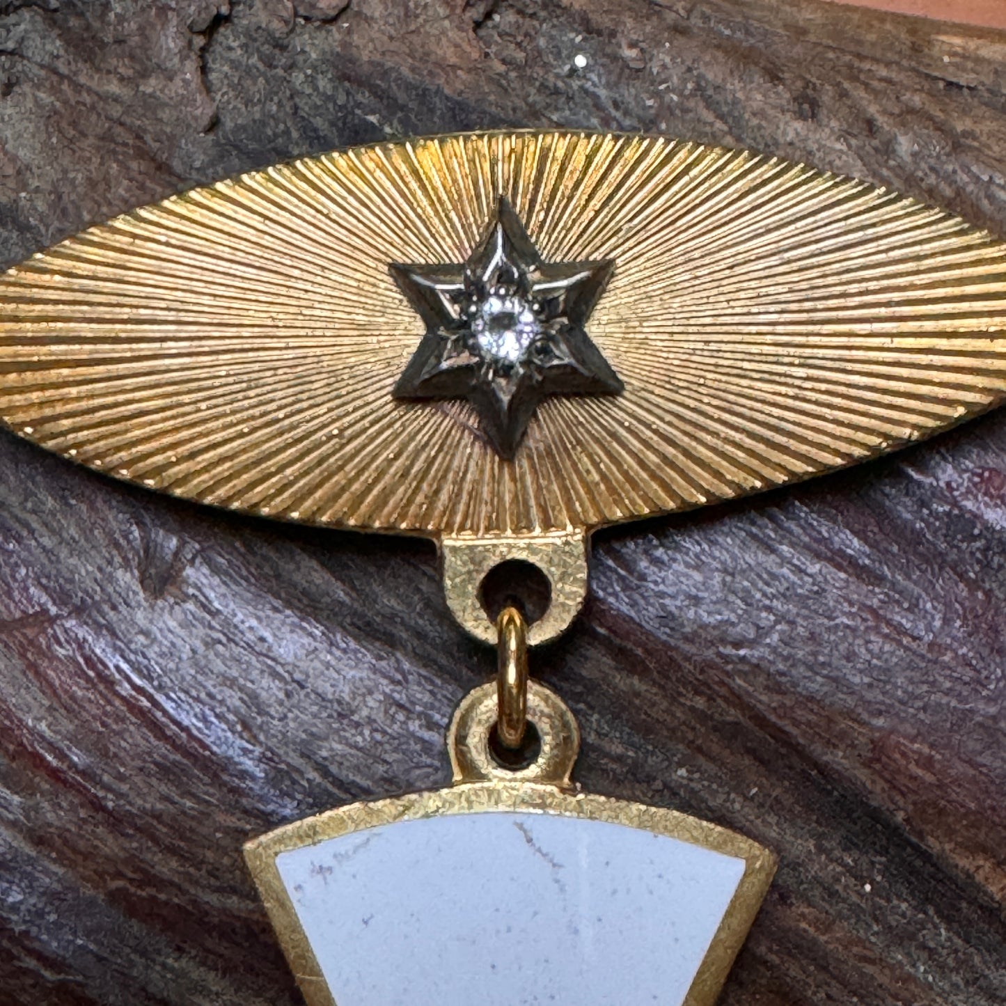Antique Rebekah Lodge Patriarchs Chivalryn IOOF Brass Enamel Pin & Case