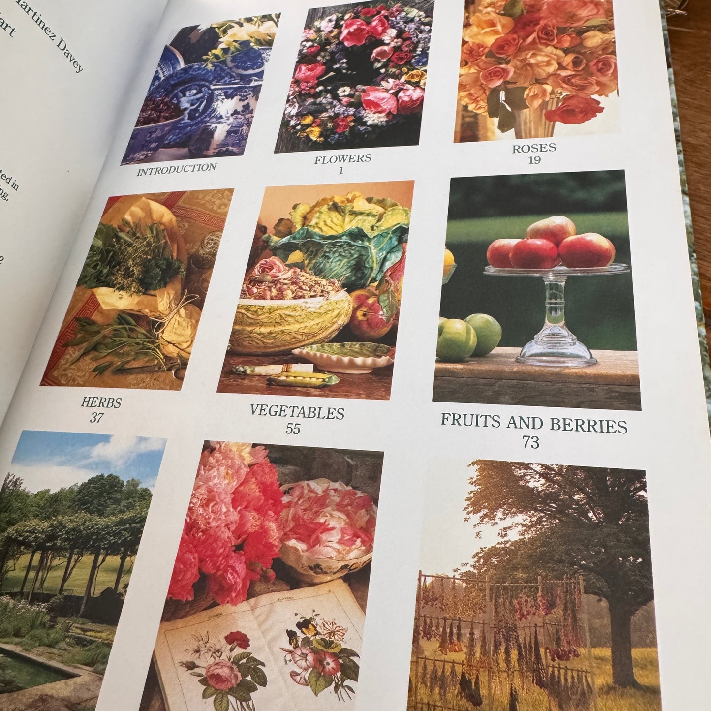 The Scented Room Gardening Notebook Barbara Milho Ohrbach