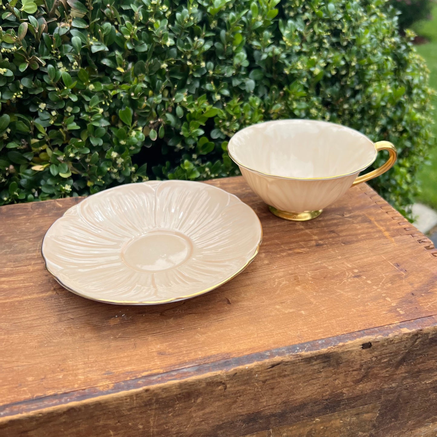 Vintage Aynsley Apricot Oleander Tea Cup & Saucer