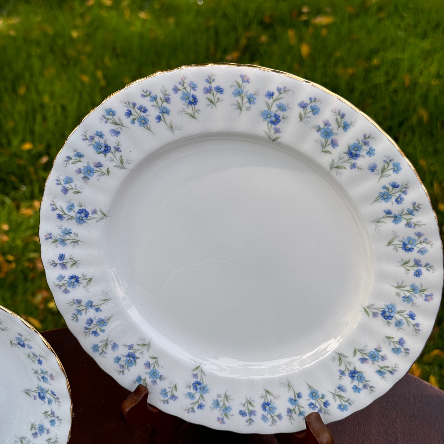 Vintage Royal Albert Memory Lane Bone China Tea Cup, Saucer and Salad Plate