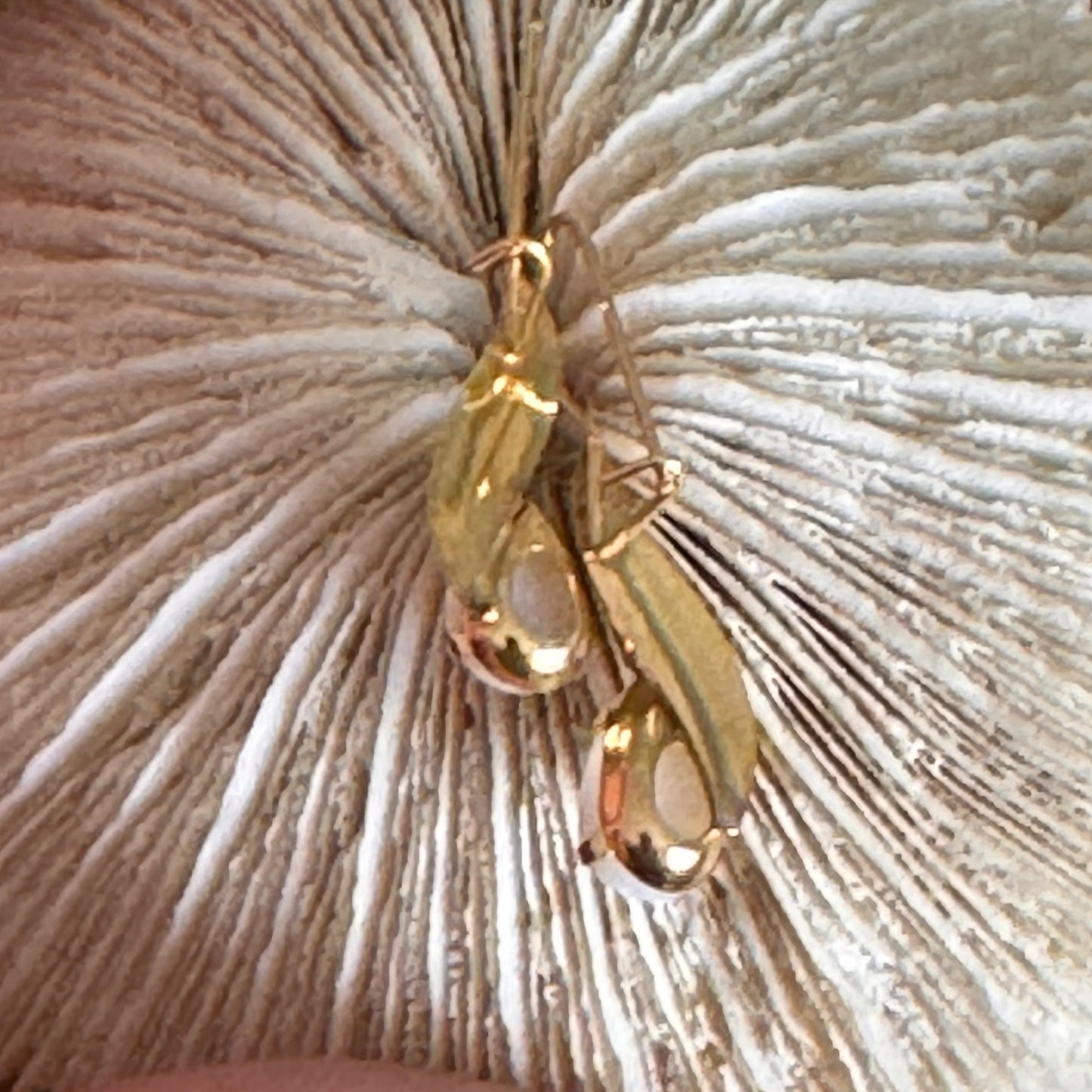 Vintage 14K Yellow Gold Opal Earrings