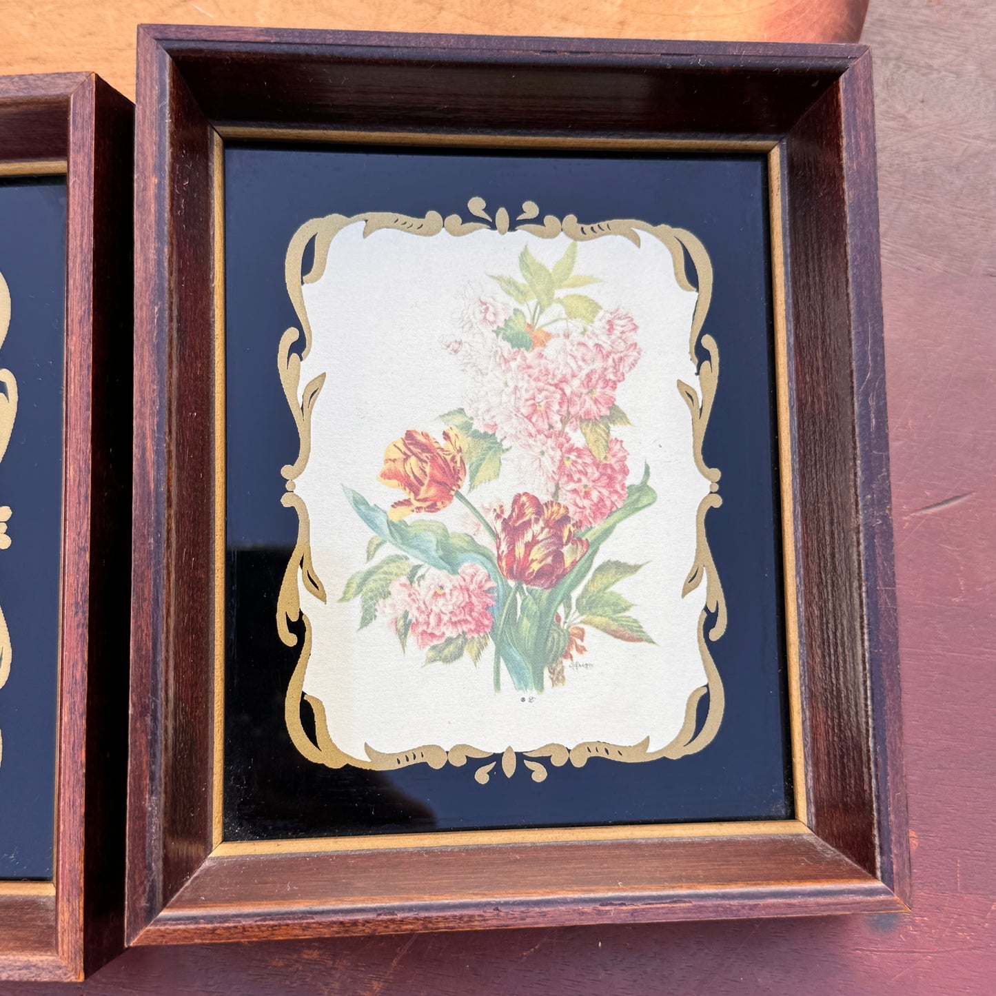 Pair of Franklin Picture Frame Company Chicago Vintage Botanical Prints