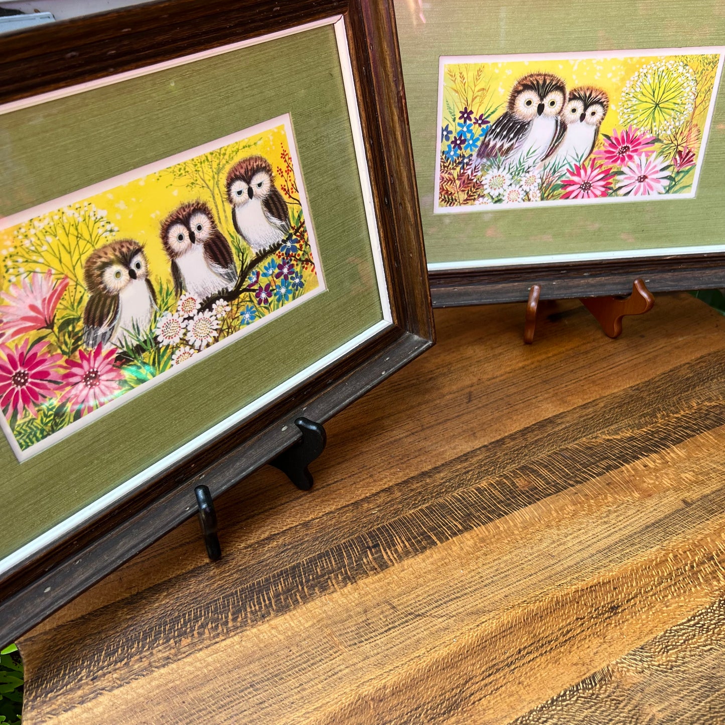 Mid Century Modern Pair of Turner Accessories Owl Prints Under Glass