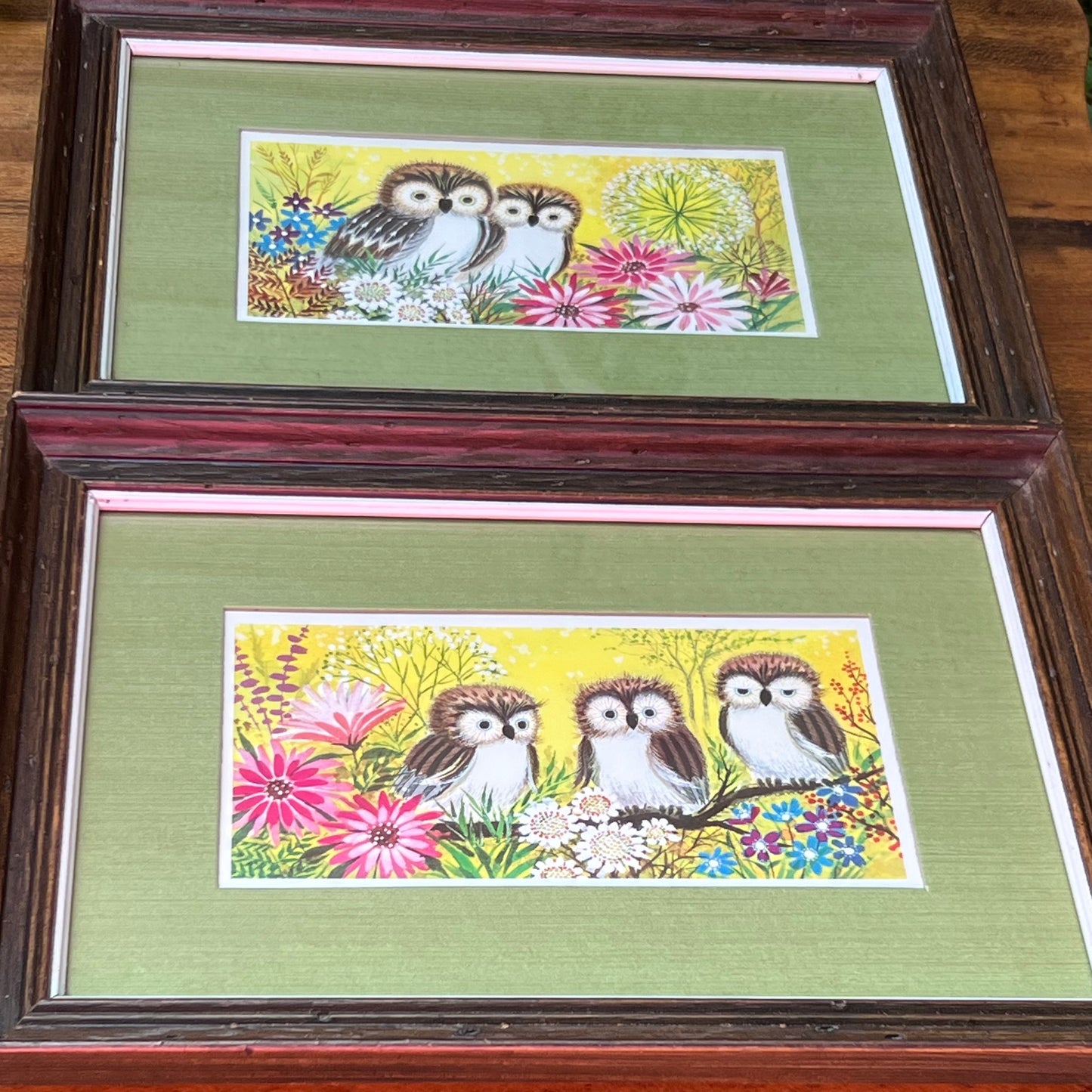 Mid Century Modern Pair of Turner Accessories Owl Prints Under Glass