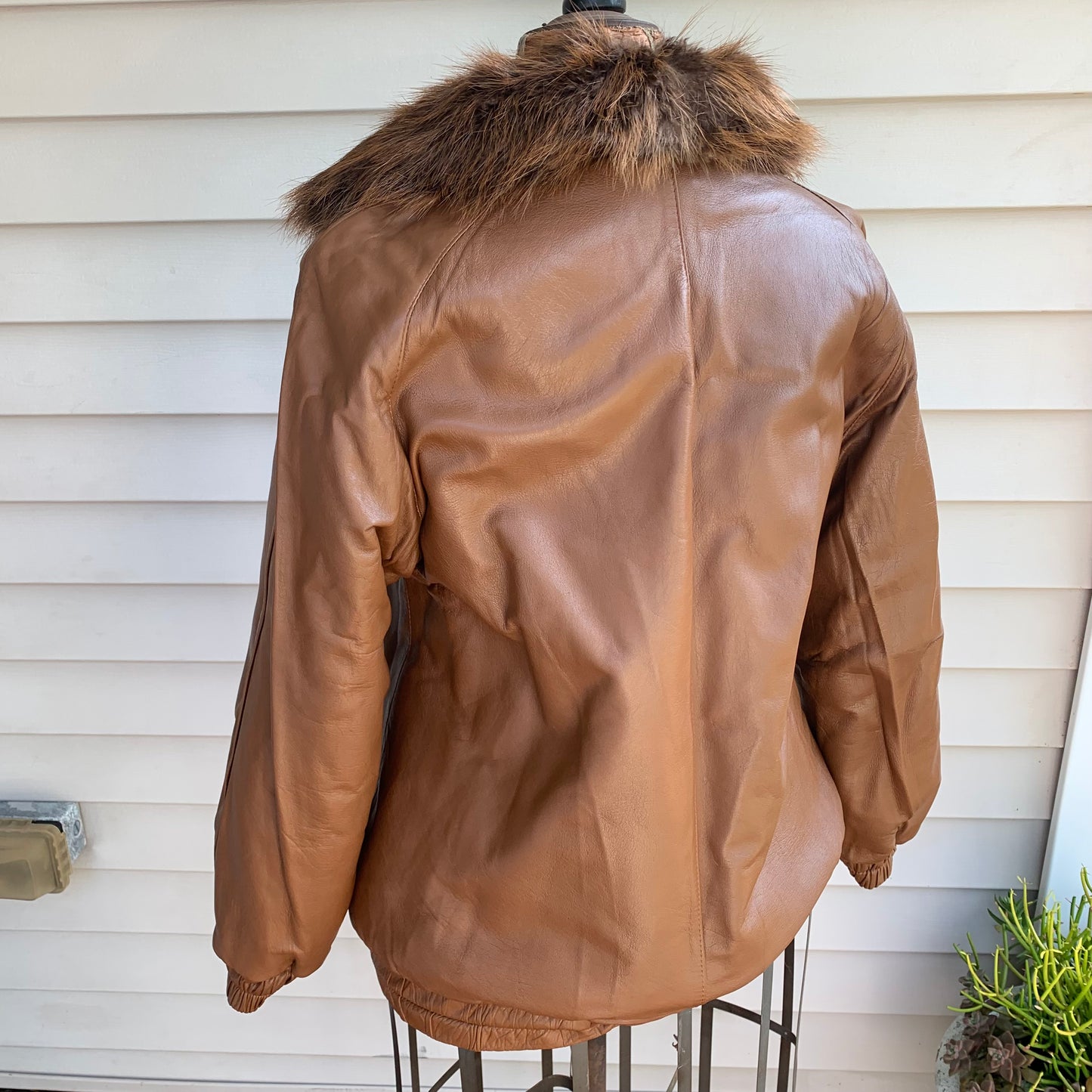 View from the back