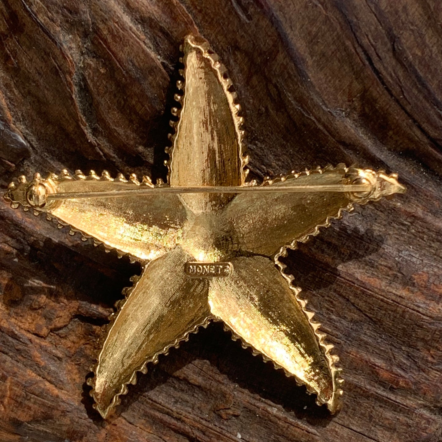 Back view