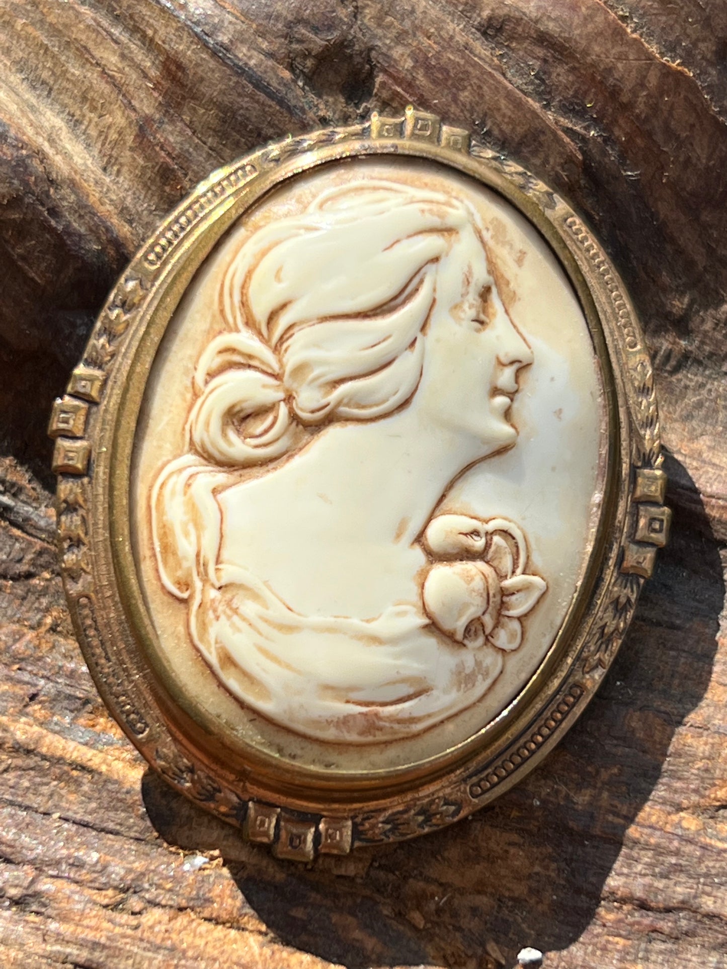 Vintage Early Plastic Pin