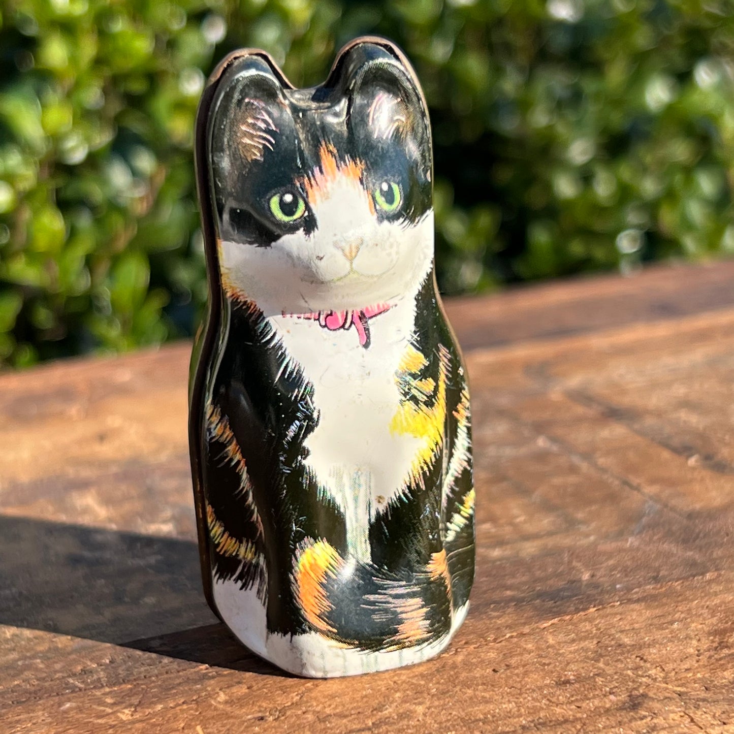 Hunky Dory Miniature English Cat Tin Dana Kubrick