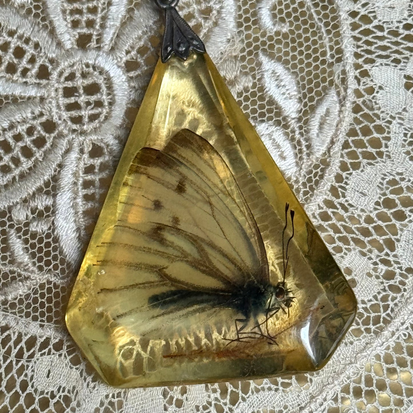 Vintage Butterfly in Resin Sterling Pendant  Necklace