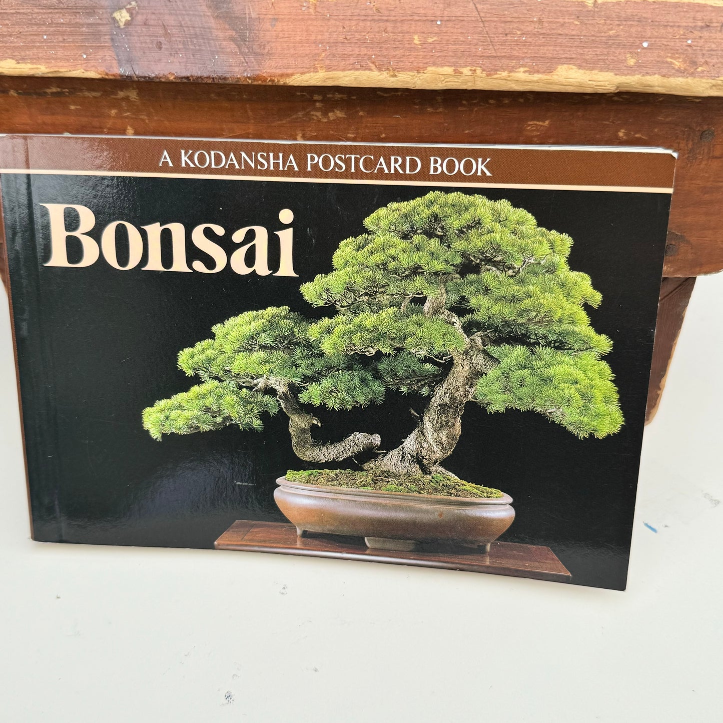 Japanese Oval Blue & White Bonsai Planter, Bonsai Postcard Book & Chinese Terracotta Clay Warrior