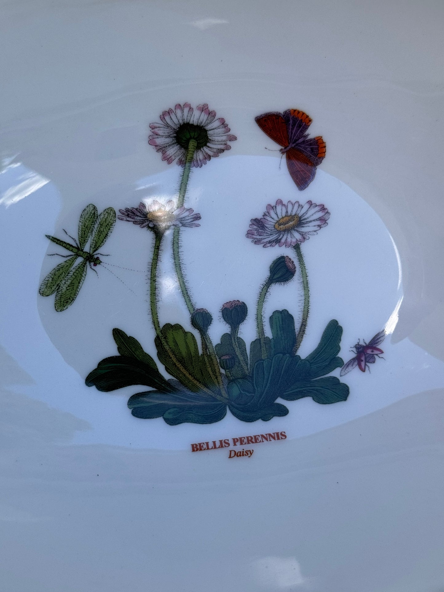 Two Nesting Oval Portmeirion Botanic Gardens Serving Bowls Daisy & Cyclamen