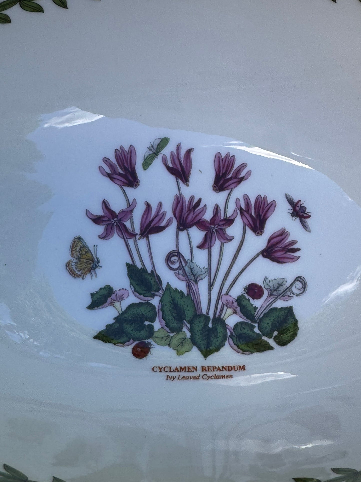 Two Nesting Oval Portmeirion Botanic Gardens Serving Bowls Daisy & Cyclamen