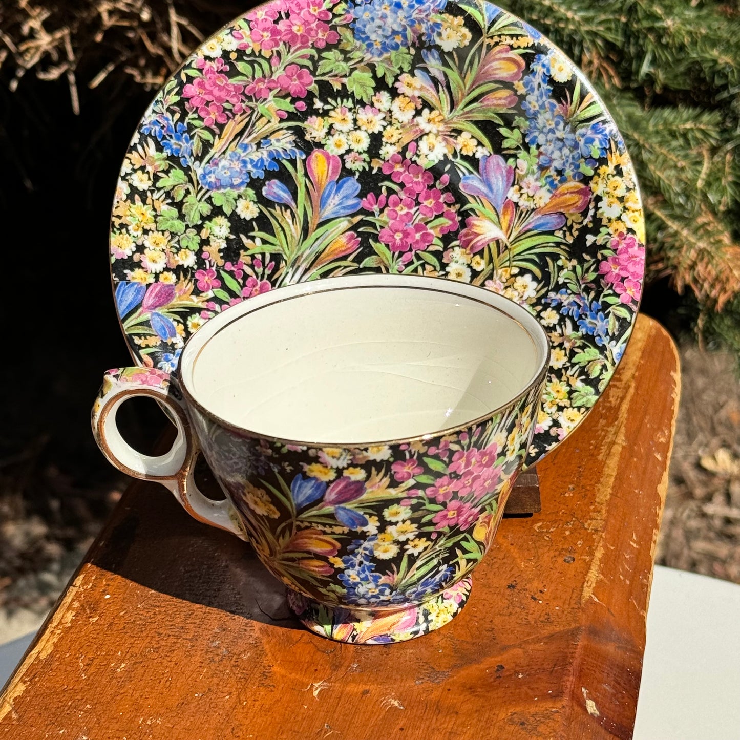 Vintage Royal Winton Black Crocus Tea Cup & Saucer