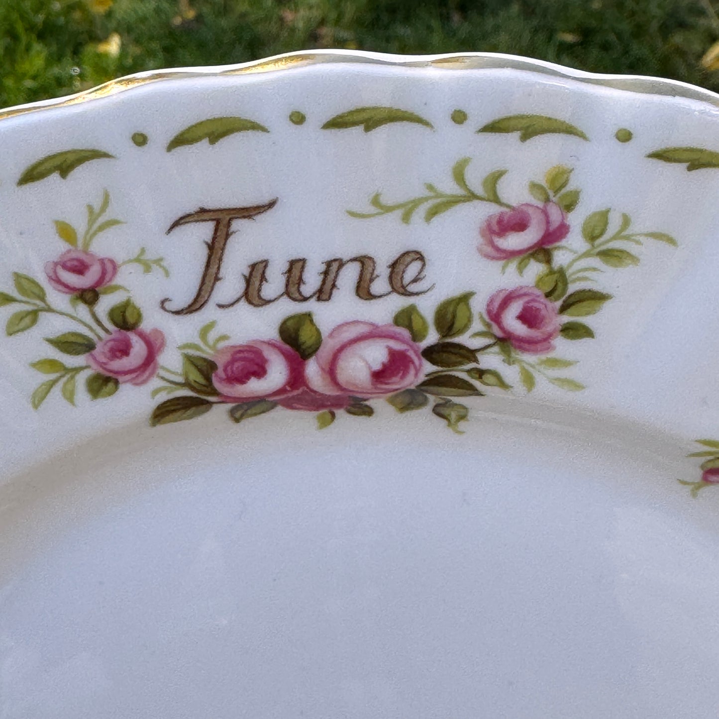 One Royal Albert June Roses Flower of the Month Bone China Salad Plate