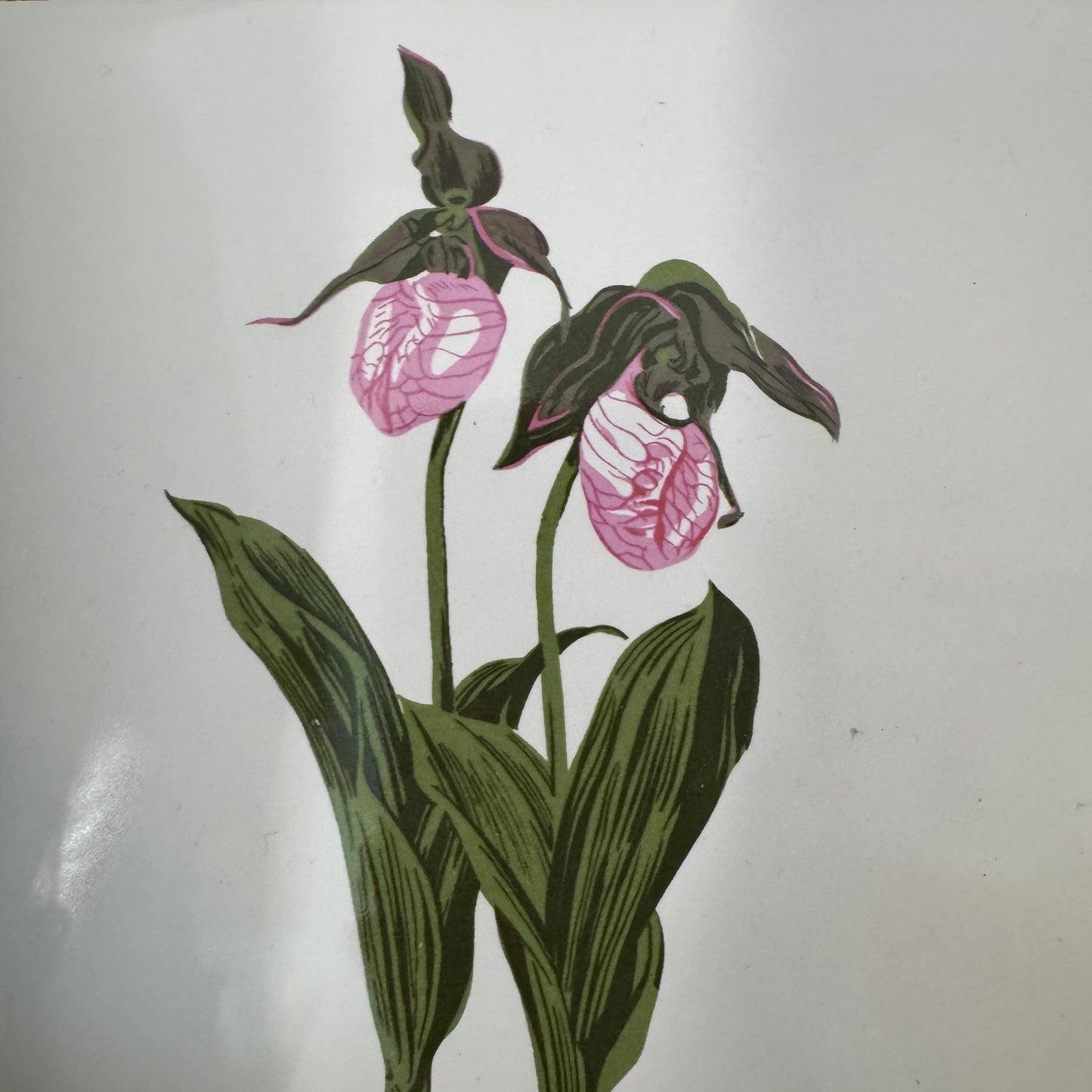 Pink Lady Slippers Hand Decorated Screencraft Products Signed Trivet