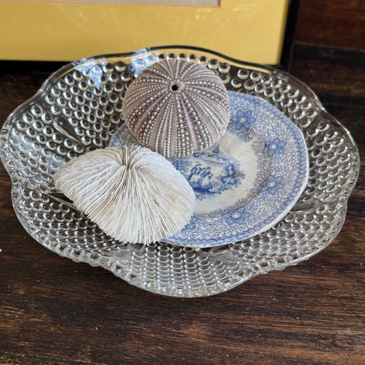 Vintage Jewelry Dish & Found Treasures "From the Sea"