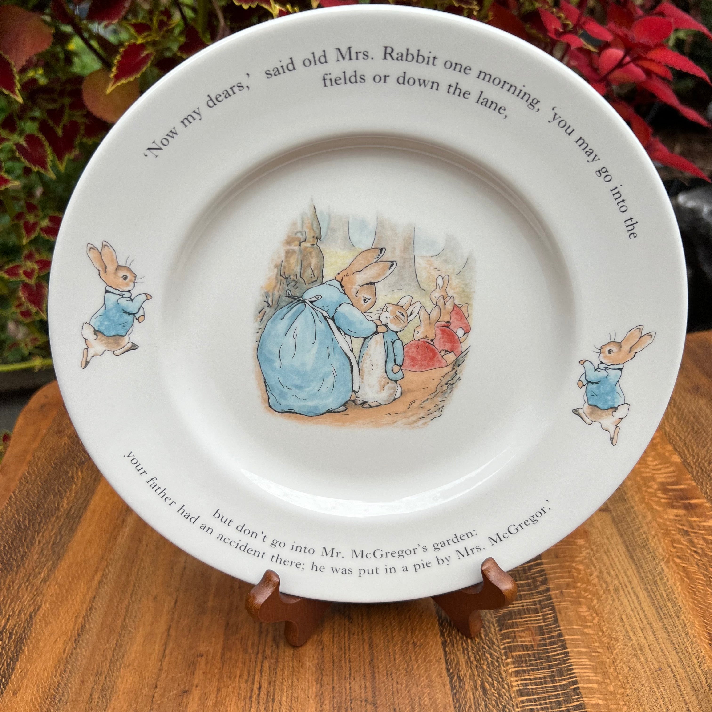 Vintage outlet Wedgwood Beatrix Potter plates