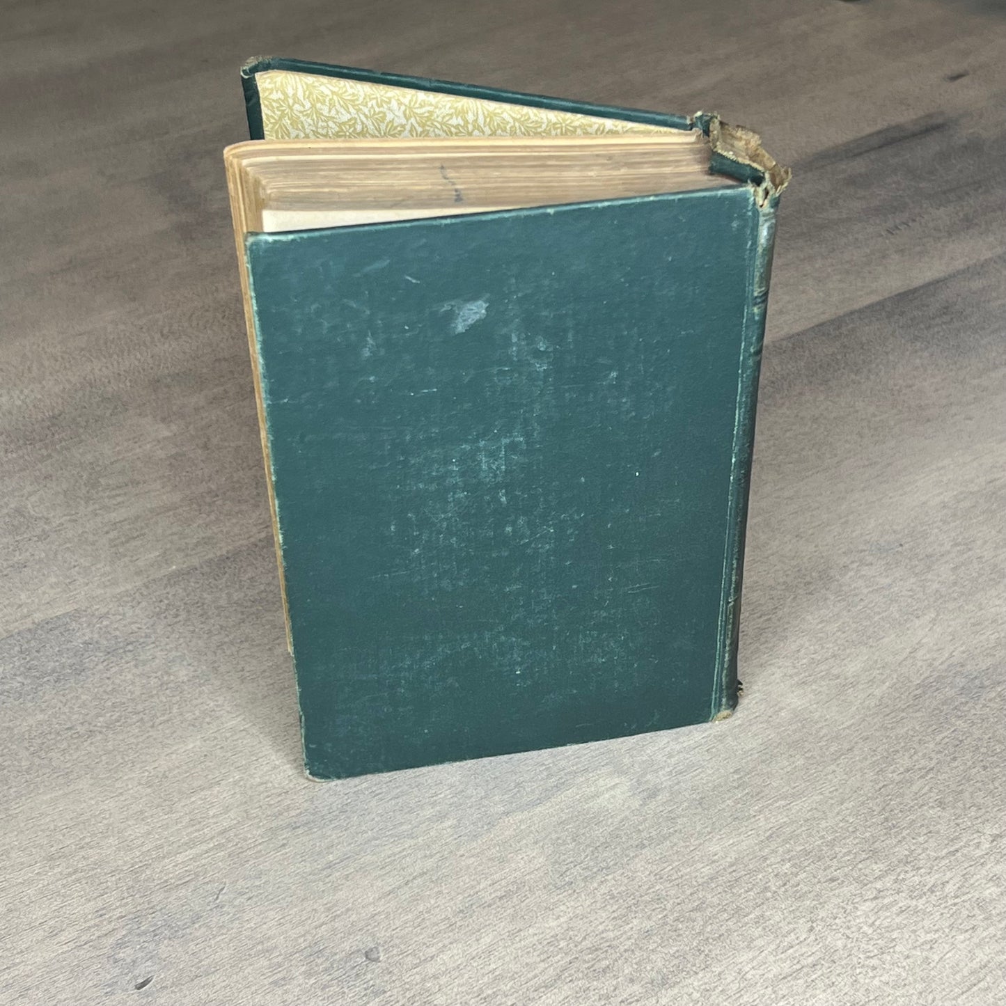 Antique Book Old Fashioned Girl By Louisa May Alcott