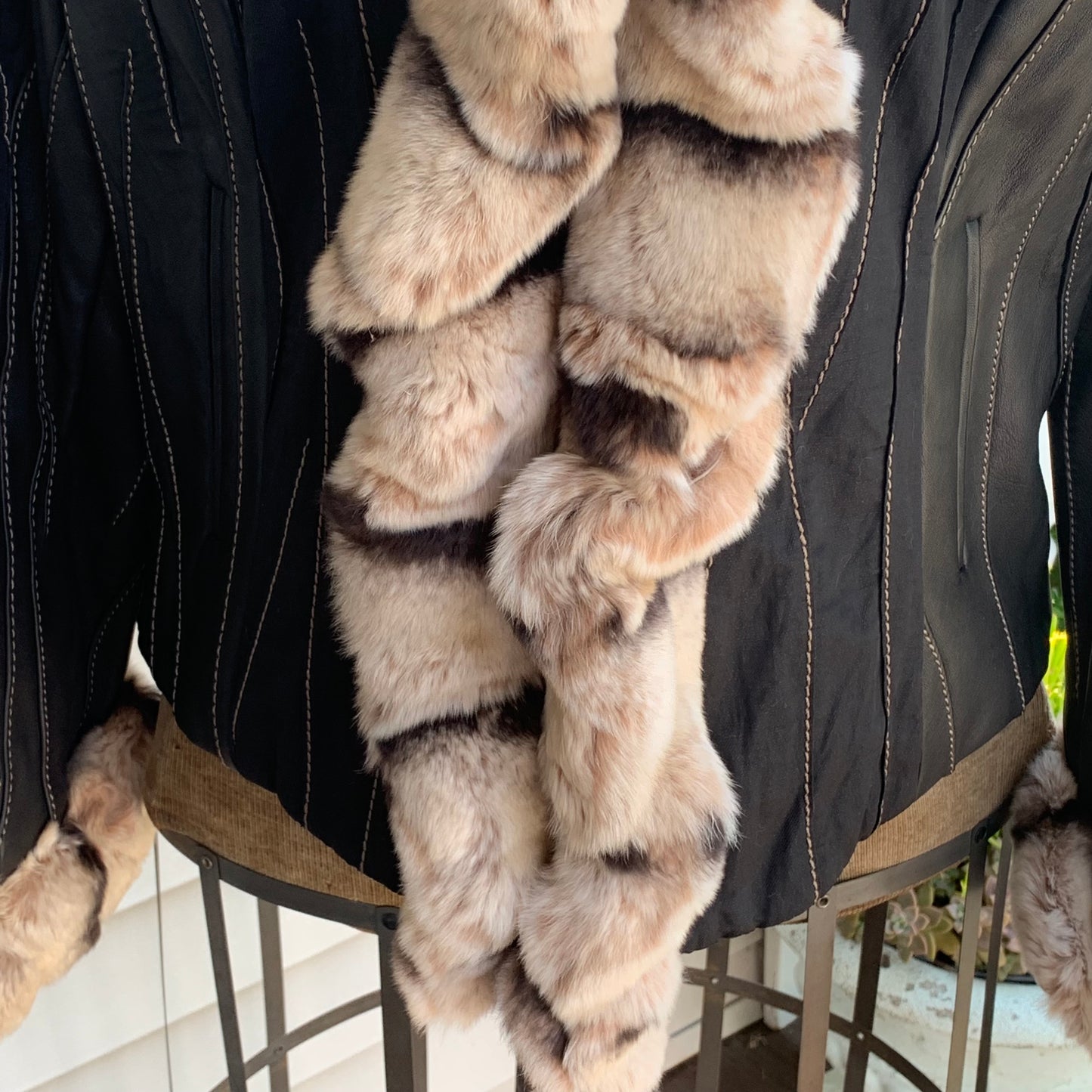 Rex Rabbit fur trim