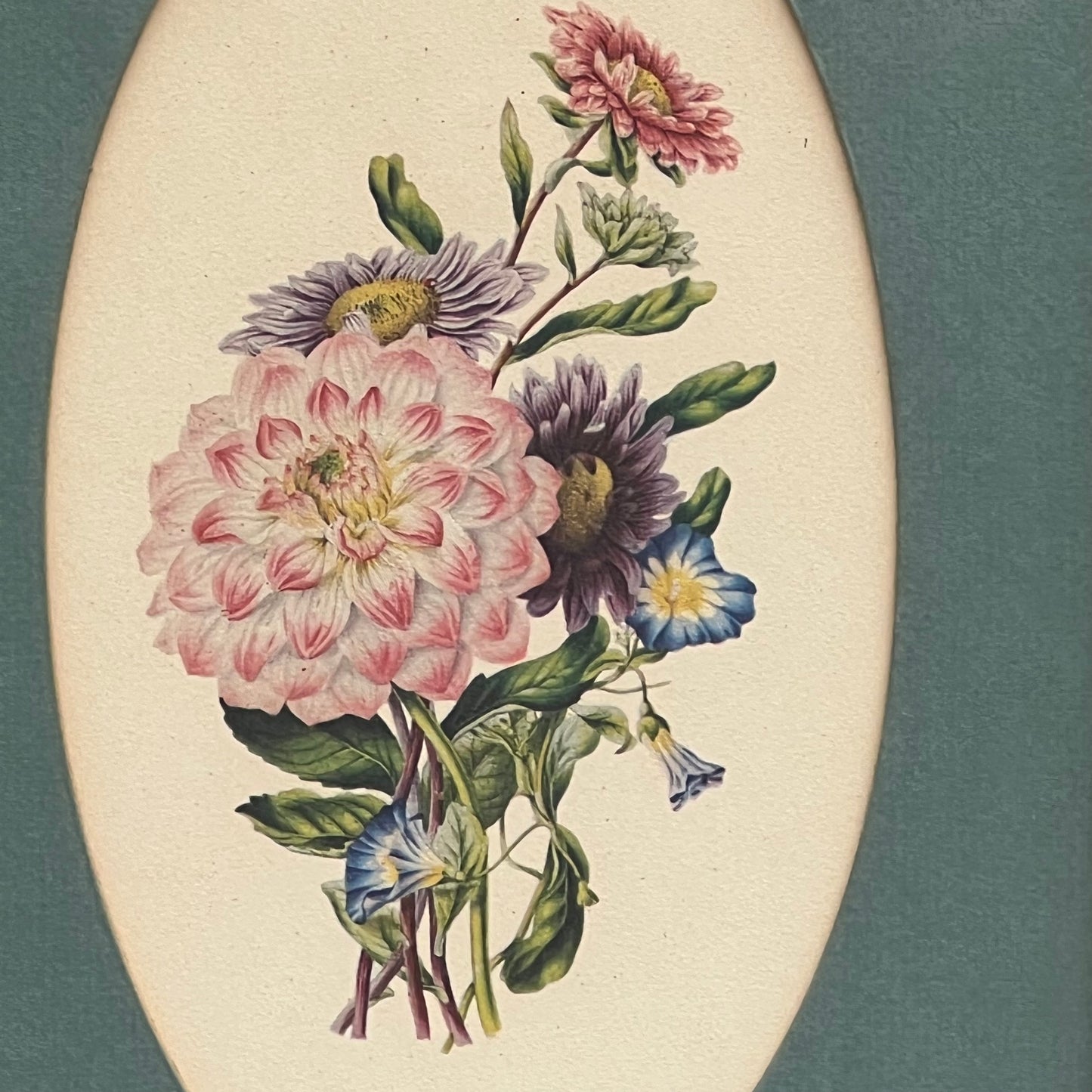 Vintage Pair of Framed Botanical Floral Prints Under Glass