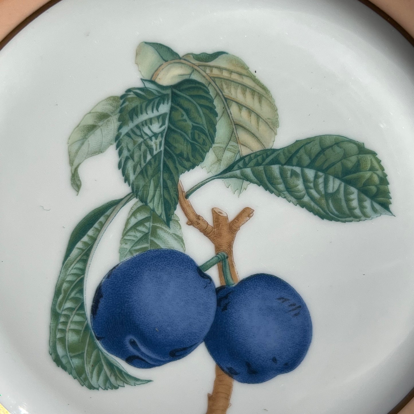 Three Mottahedeh  Fruit Dessert Plates