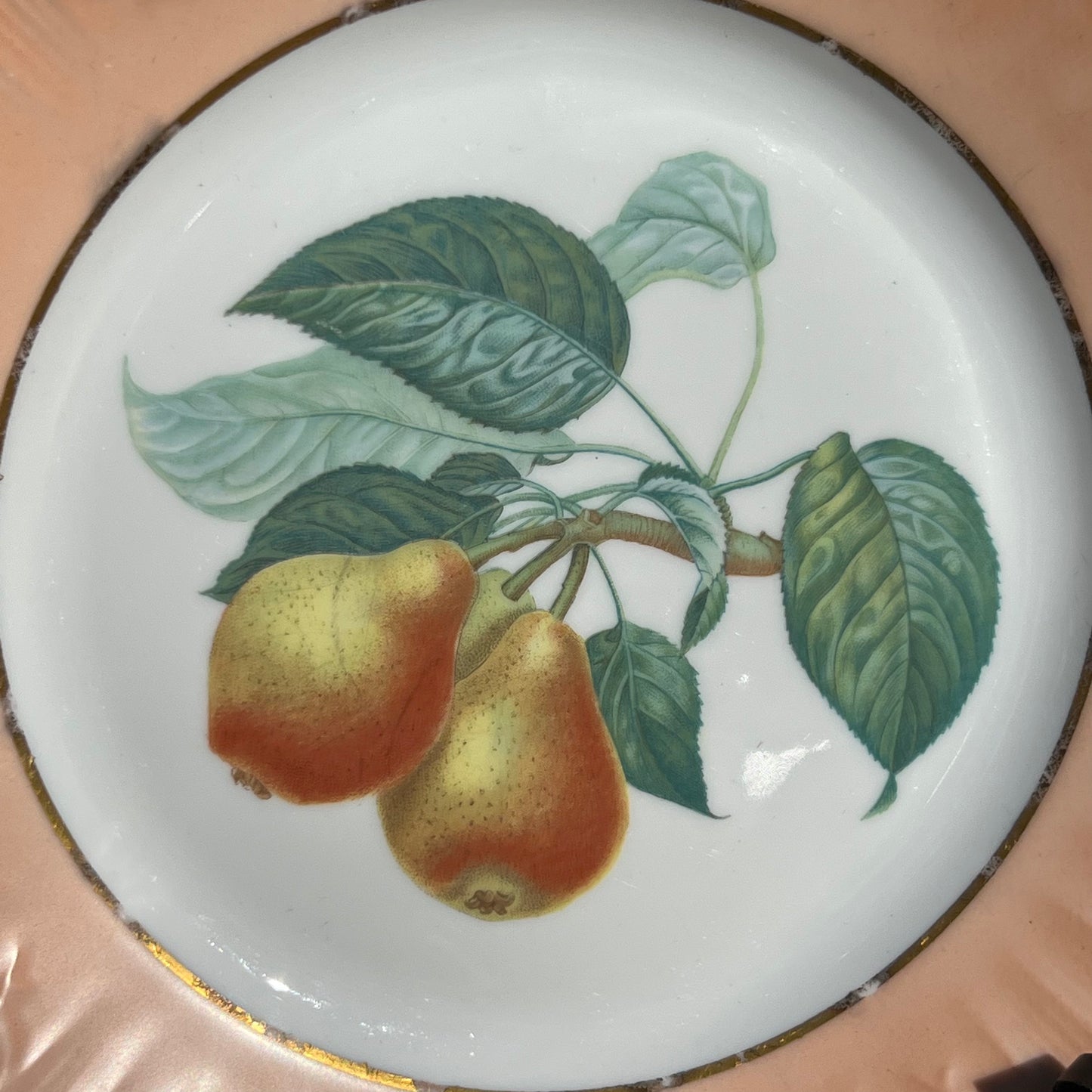 Three Mottahedeh  Fruit Dessert Plates