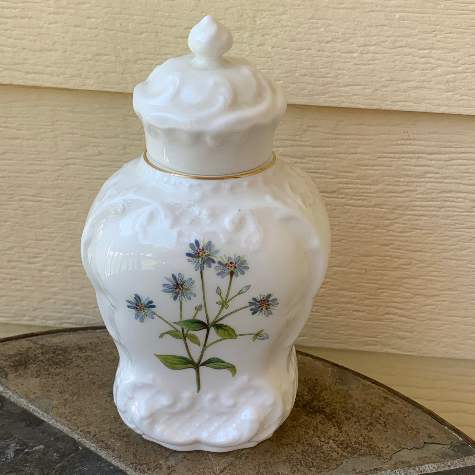 Vintage Minton "Meadow" Porcelain Covered Jar & Lid